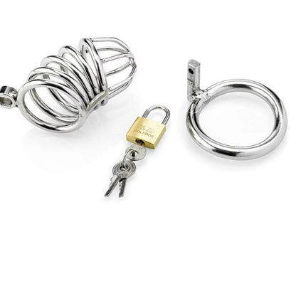 Stainless Steel Spring Design Chastity Device